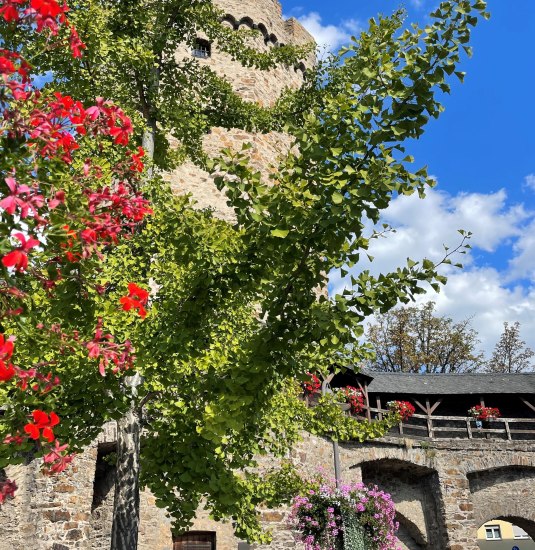 Stadtf&uuml;hrung | &copy; Tanja Stienemeier