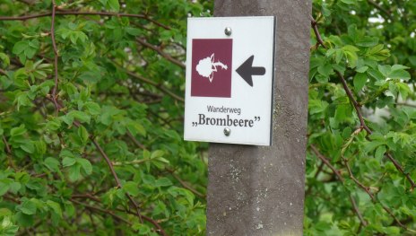 Brombeerweg Waldorf | &copy; Frank Srol, Mittelrhein