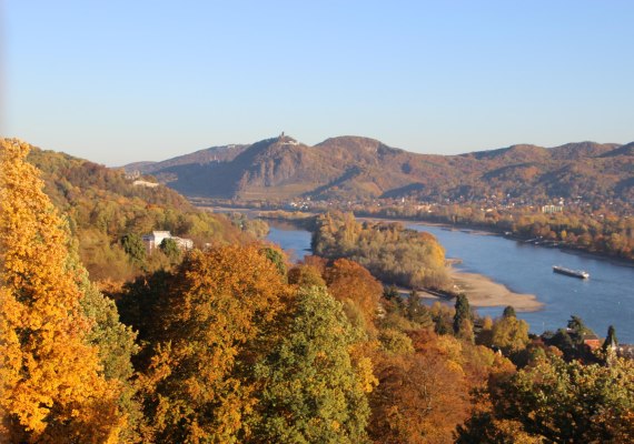 Blick vom Aussichtsturm auf das Siebengebirge | © Tessa von Lüdinghausen Blick vom Aussichtsturm auf das Siebengebirge | © Tessa von Lüdinghausen