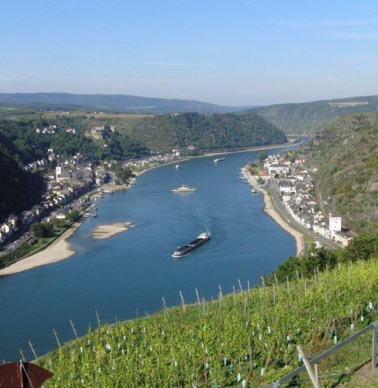 Weinterrassen-Wanderung_01 | © Friedel Becker Weinterrassen-Wanderung_01 | © Friedel Becker