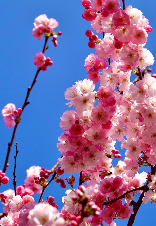 DSC03459 | © AnyaFi