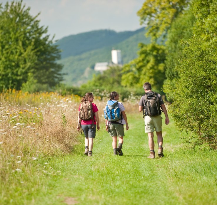 Ziehlay bei Boppard-Weiler | &copy; Dominik Ketz