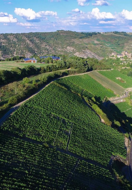 Weingut Lanius-Knab Engehöller Bernstein Am Lauerb | © Lanius-Knab Weingut Lanius-Knab Engehöller Bernstein Am Lauerb | © Lanius-Knab