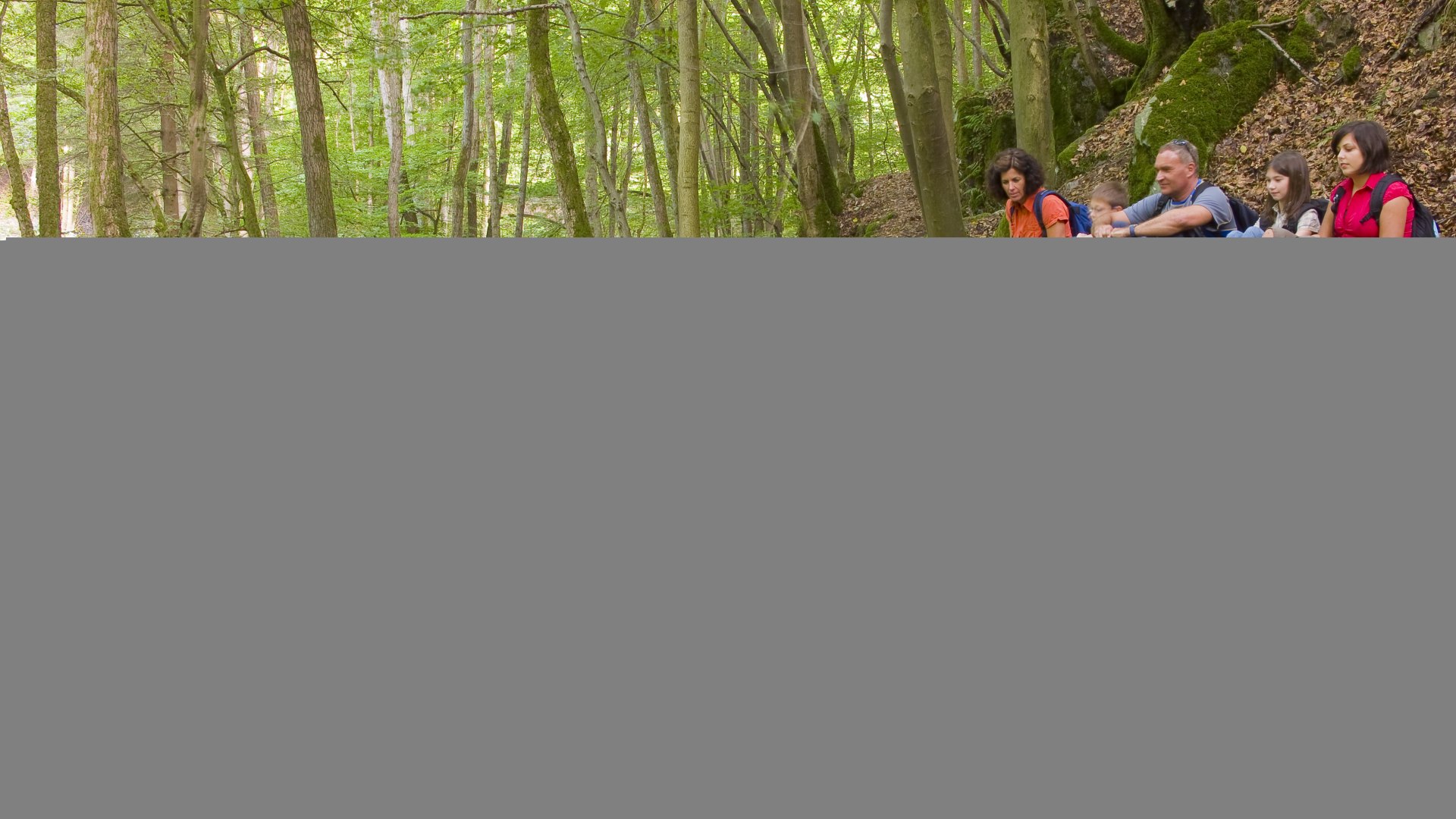 Traumpfad Saynsteig: Rast im Brexbachtal | &copy; Klaus-Peter Kappest / REMET