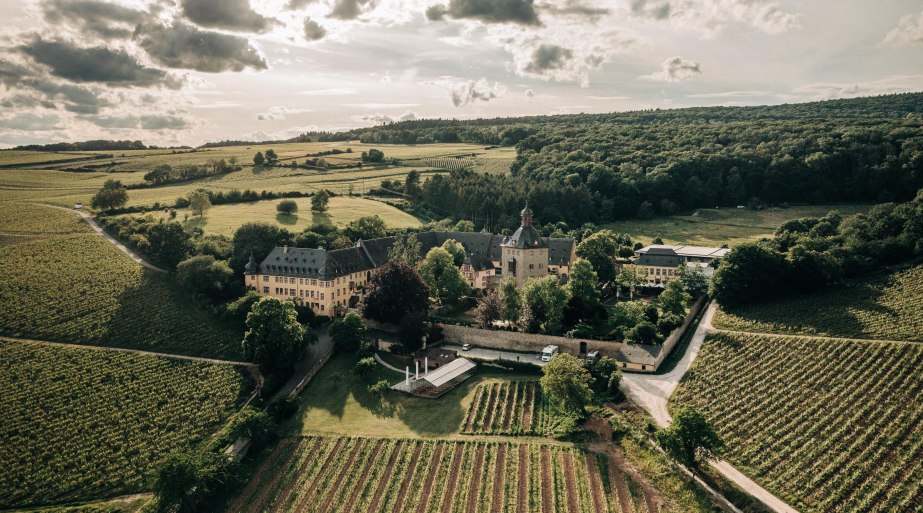 Weingut Schloss Vollrads | © Schloss Vollrads Weingut Schloss Vollrads | © Schloss Vollrads