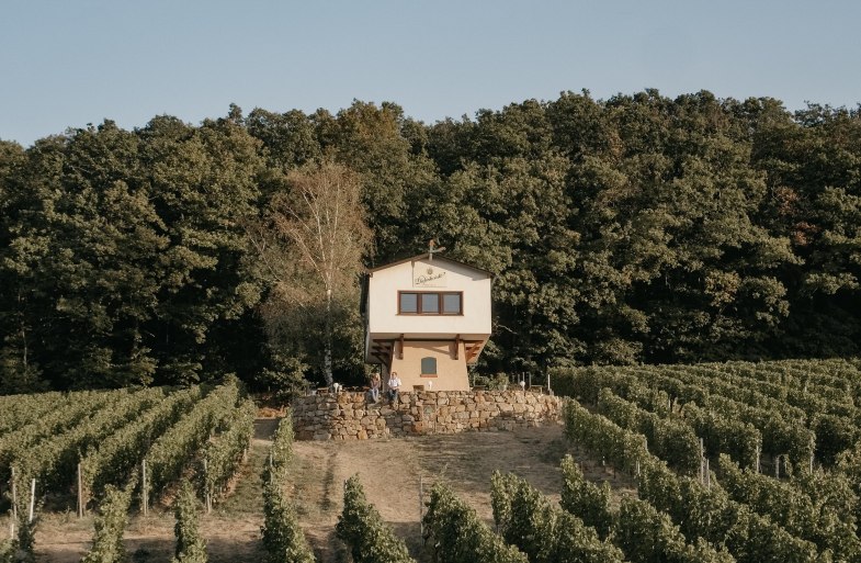 Weinbergshaus by Diefenhardt | © Weingut Diefenhardt Weinbergshaus by Diefenhardt | © Weingut Diefenhardt
