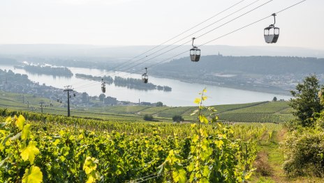 Seilbahn in R&uuml;desheim | &copy; Dominik Ketz / Bingen Tourismus & Kongress GmbH