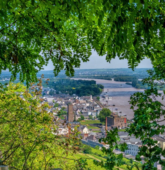 Aussicht auf Rüdesheim | © Marlis Steinmetz