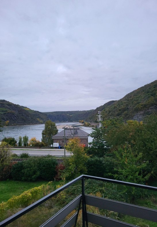 Blick Rhein | © Elke Schmäl, Kisselbach