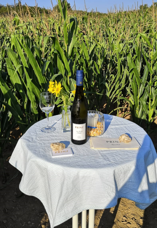 Maislabyrinth 3 | &copy; Florian Prinz