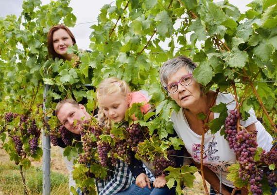 Weingut Kurt Bug | &copy; Weingut Kurt Bug