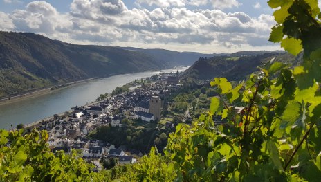 Bank Urbar | &copy; T. Castor