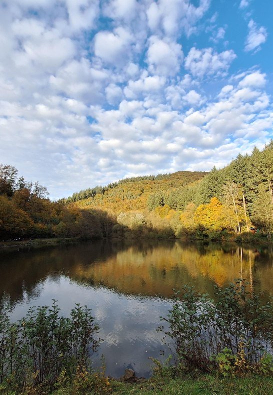 Schwanenteich Obebieber | &copy; R&auml;mer