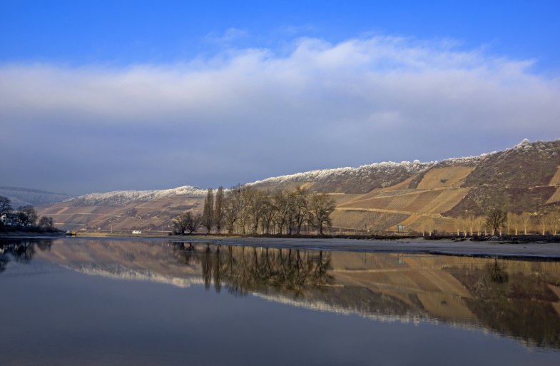 Blick in den Bopparder Hamm | &copy; Friedrich Gier