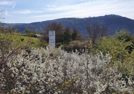 Schriftsäule im Frühling | © T. Biersch Schriftsäule im Frühling | © T. Biersch