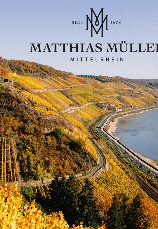 Herbst | &copy; Weingut Matthias M&uuml;ller
