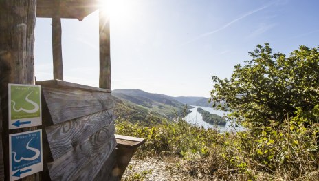 Rhein Wisper Gl&uuml;ck | &copy; M. Igel