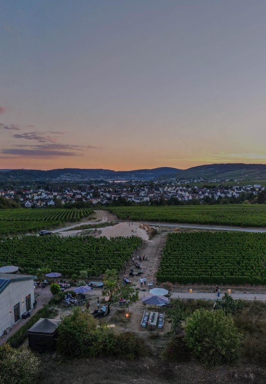 drone-daniel | &copy; Weingut Dillmann