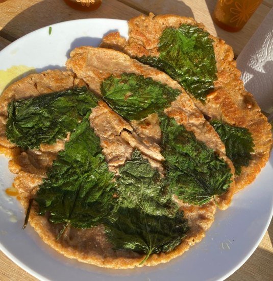 Brennessel | © Angelika Hölz Brennessel | © Angelika Hölz