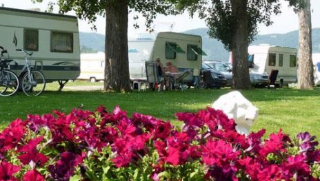 Camping & Wohnmobil | bernachten | Gastgeber & Urlaubsangebote -  Romantischer Rhein