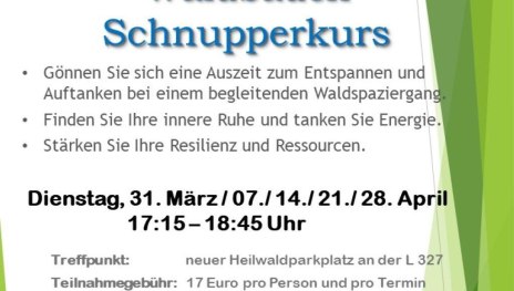 Waldbaden-Schnupperkurs | &copy; Stadt Lahnstein