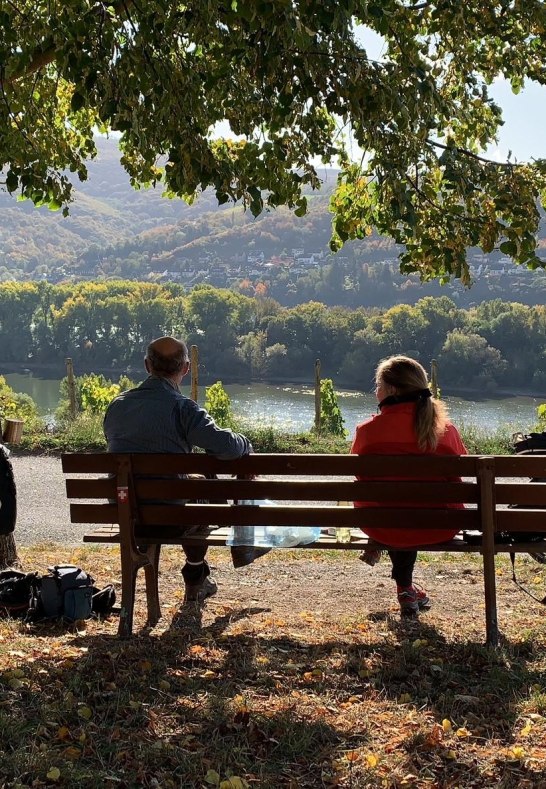 Genussradeln Weinberge Lorch | &copy; M&uuml;sel@Hotel im Schulhaus