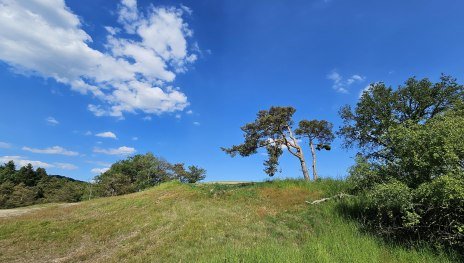 Rheinsteig | © Ulrike Dallmann