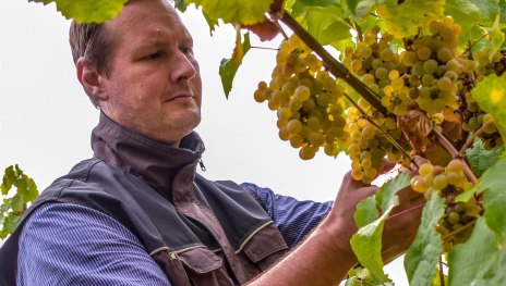 Weingut Kurt Bug | © Yvonne Bug Weingut Kurt Bug | © Yvonne Bug