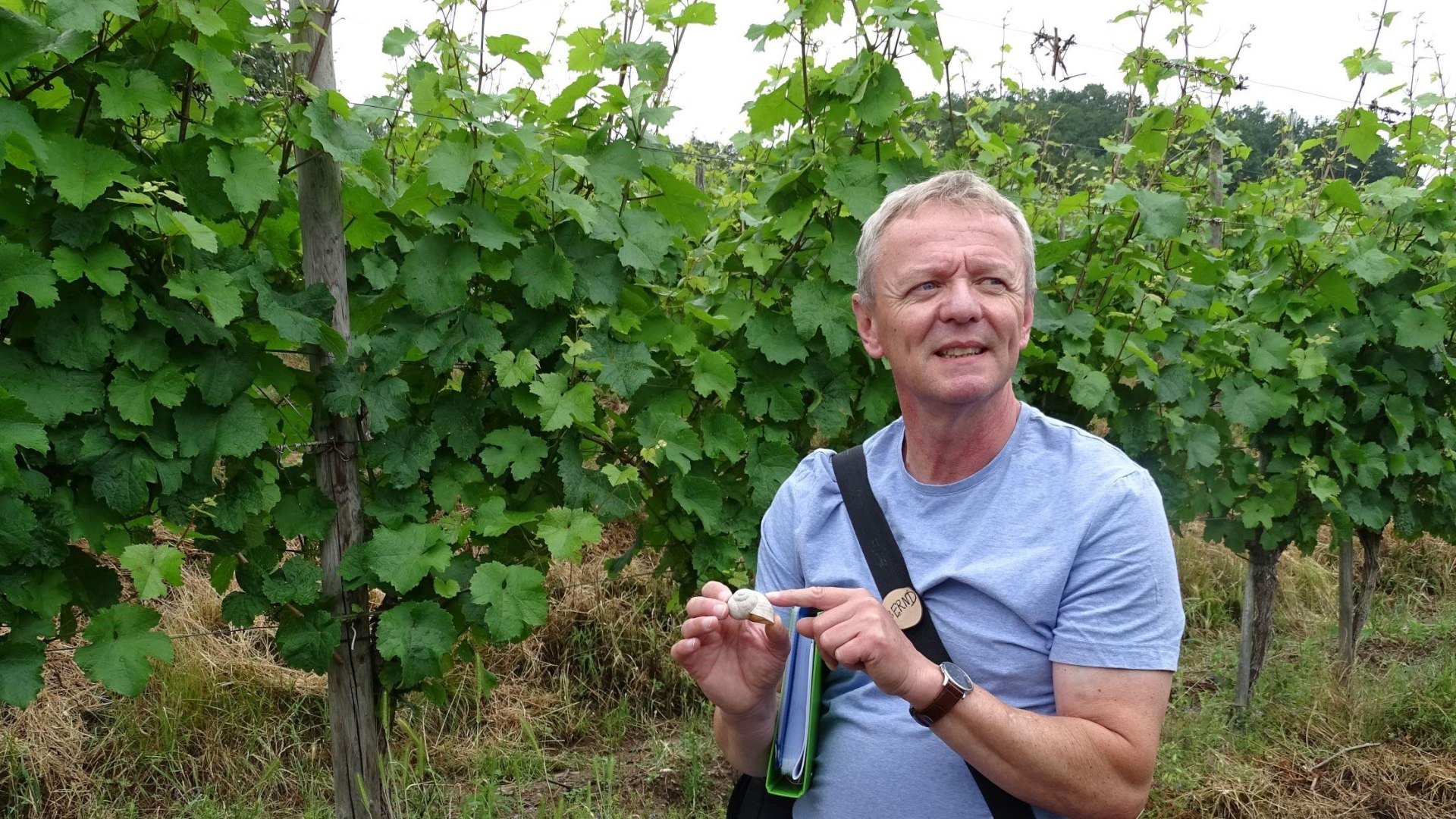 Bernd Doetsch im Weinberg | © Bernd Doetsch