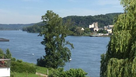 Blick auf den Rhein | © Ferienwohnung Rheinblick am Fähranleger