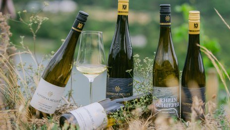 Weinflaschen | &copy; Weingut Matthias M&uuml;ller