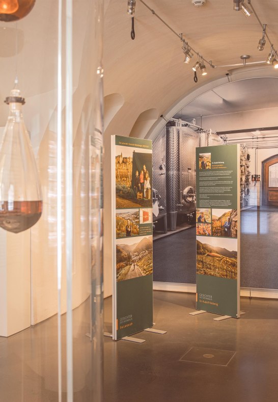 Ausstellung WeinReich im Landesmuseum Koblenz | © GDKE, Johannes Bruchhof Ausstellung WeinReich im Landesmuseum Koblenz | © GDKE, Johannes Bruchhof