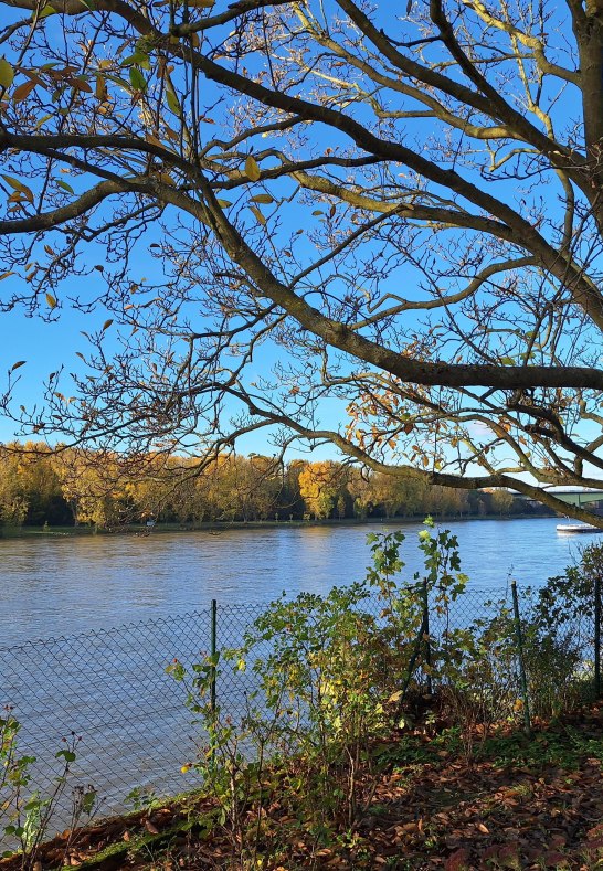 Rheinblick | © Koblenz-Touristik GmbH, J. Assenmacher
