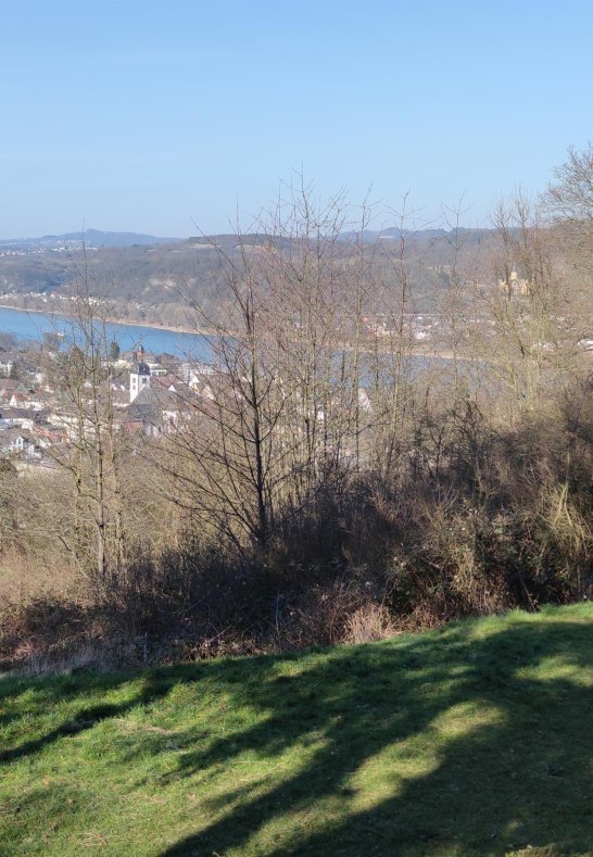 Aussicht Fichtelhütte mit Schuakel | © Tourist-Information Bad Breisig Aussicht Fichtelhütte mit Schuakel | © Tourist-Information Bad Breisig