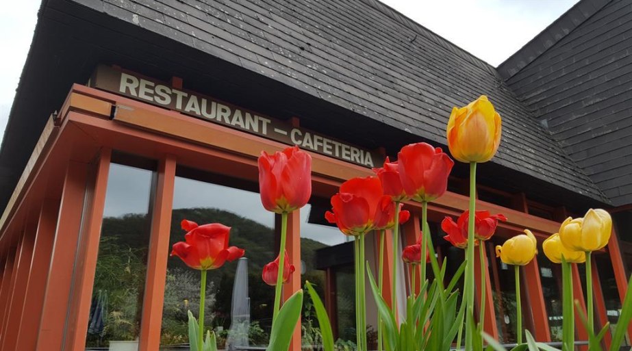 Außenansicht | © Restaurant am Hallenbad Außenansicht | © Restaurant am Hallenbad