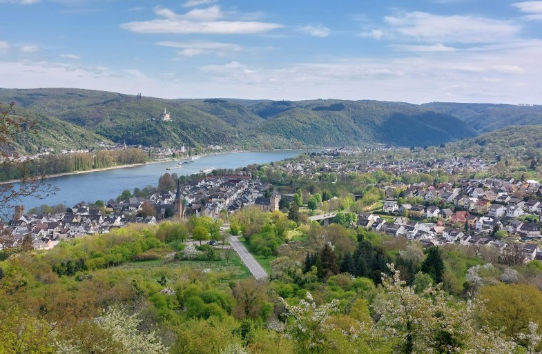 Aussicht Lützelforst | © TI Erlebnis Rheinbogen Aussicht Lützelforst | © TI Erlebnis Rheinbogen