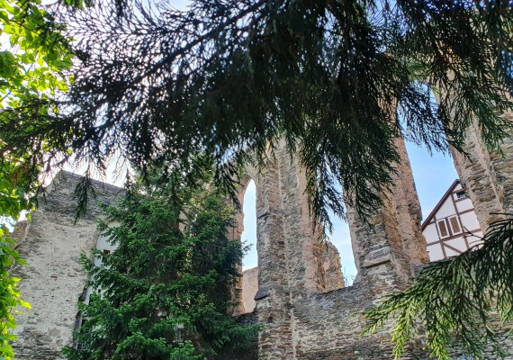 Kloster | &copy; S. Gl&ouml;ckner, Oberwesel