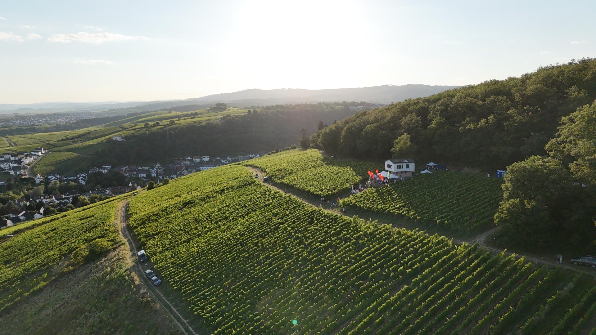 image00122 | © Weinbergshaus by Diefenhardt
