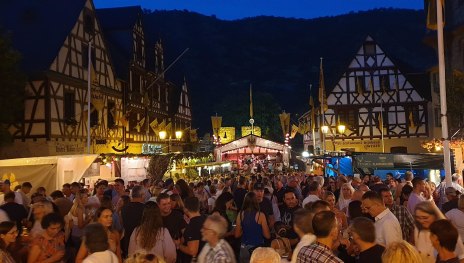 &copy; T. Castor Oberwesel