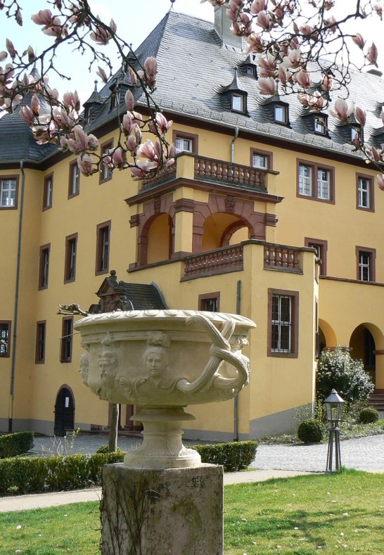 Herrenhaus Schloss Vollrads | © Schloss Vollrads