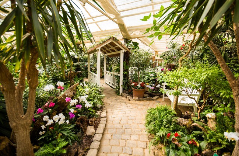 Garten der Schmetterlinge_ | &copy; Henry Tornow/Romantischer Rhein Tourismus GmbH