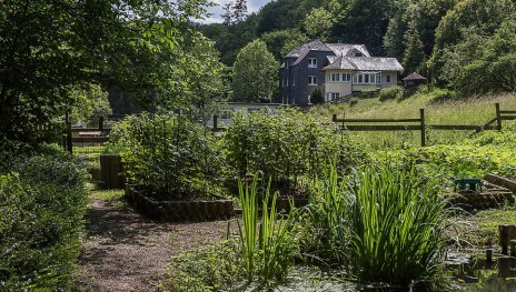 M&uuml;hlenansicht | &copy; Fam. Kochem