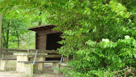 Thiergartenhütte | © T. Biersch Thiergartenhütte | © T. Biersch