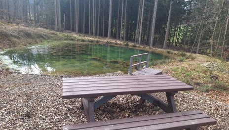 Picknickbank am Himmelsteich | &copy; T. Biersch