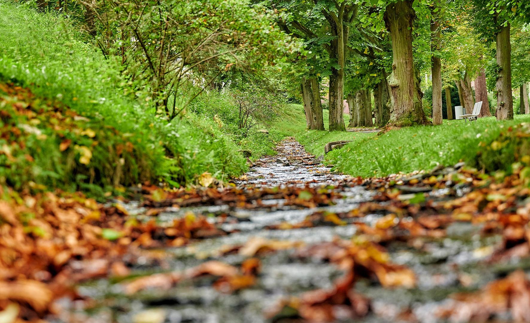 Leonorenquelle | © Tourismus- und Heilbäderverband Rheinland-Pfalz e. Leonorenquelle | © Tourismus- und Heilbäderverband Rheinland-Pfalz e.