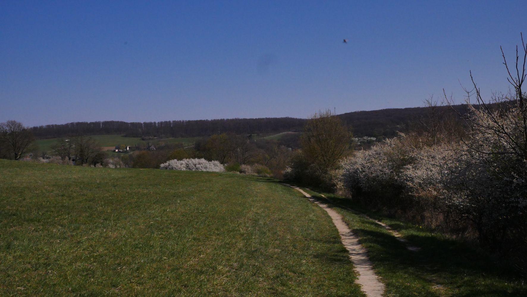 Wanderlust | &copy; Bernhard Vogt