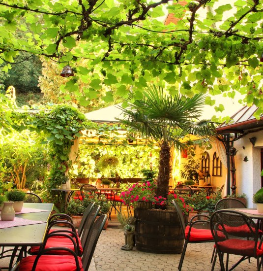 Weingut G&ouml;hlen | &copy; Koblenz-Touristik GmbH / Johannes Bruchhof