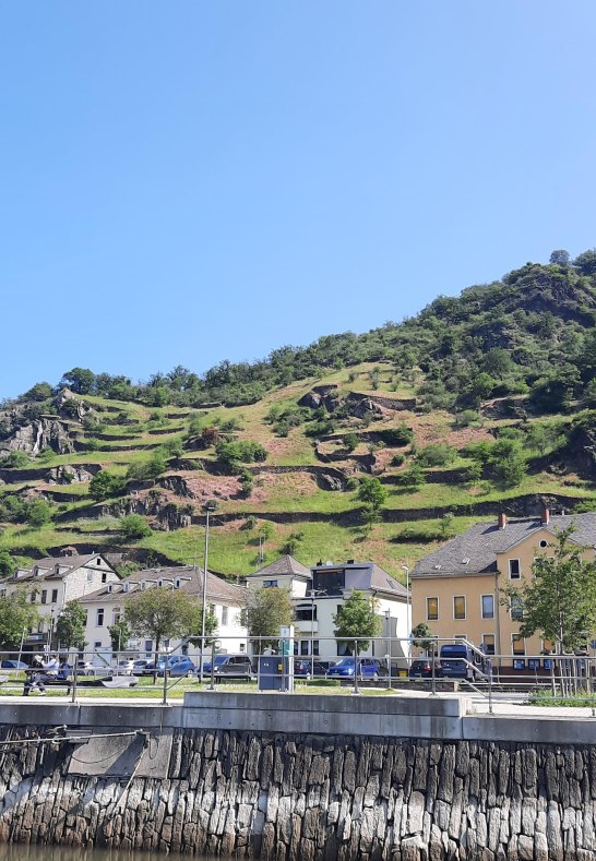 20230527_105839 | &copy; Petra Kahl