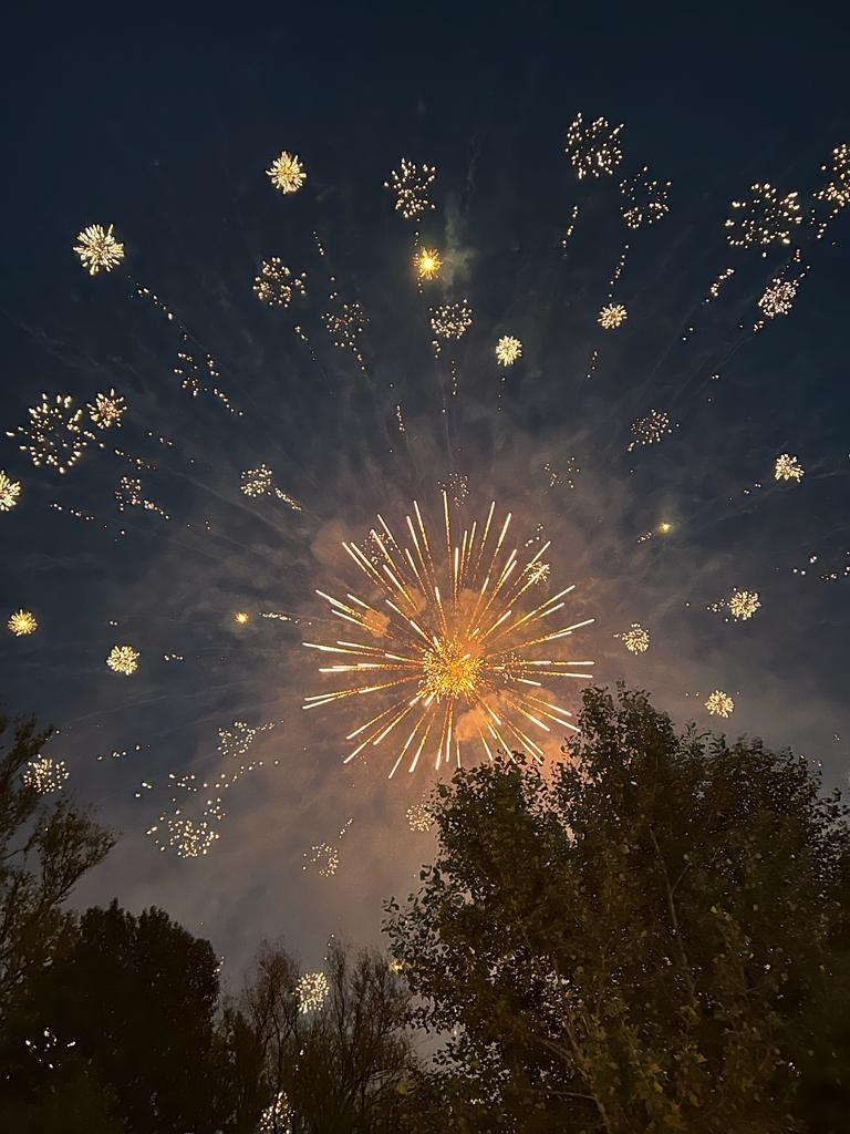 Rhein Ufer Fest | &copy; IG Dorfleben