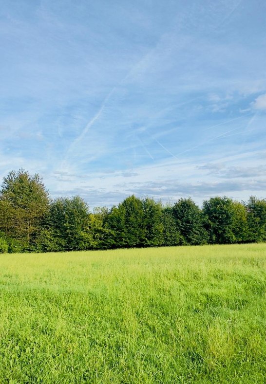 Ausblick Fewo Peklar IMG_6269 | &copy; Cornelia & Marko Peklar